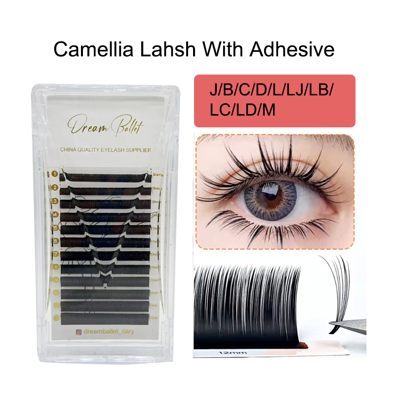 Eyelash Extension For Asian Eyes - Dream Ballet Camellia Lashes mit Klebstoff