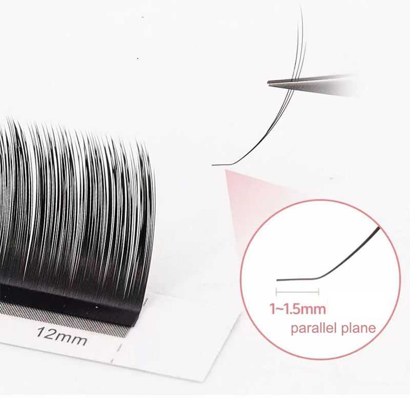 Dream Ballet Camellia Lashes m – Eyelash Extension For Asian Eyes Bewertung und Preis
