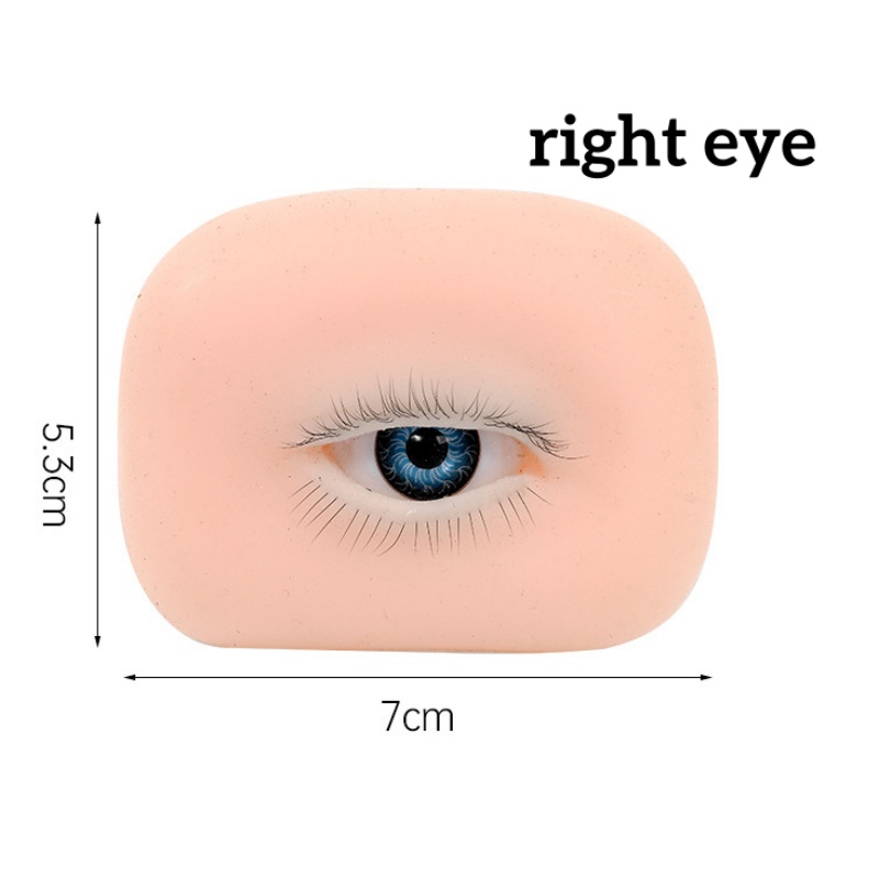3D-Wimpernverlängerungs-Akadem – Eyelash Extension Open Eye Bewertung und Preis