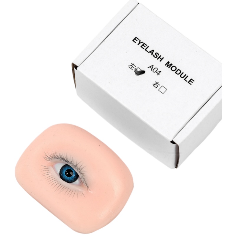 3D-Wimpernverlängerungs-Akadem – Eyelash Extension Open Eye Bewertung und Preis